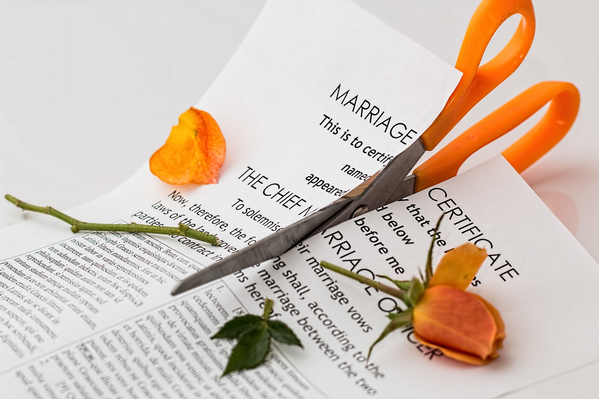 Marriage certificate being cut in half after divorce